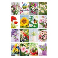 Glückwunschkarten Grußkarten blanko Motiv nach Jahreszeit Karten 11,5x17,5 cm Glückwunschkarten Grußkarten blanko Motiv nach Jahreszeit Karten 11,5x17,5 cm