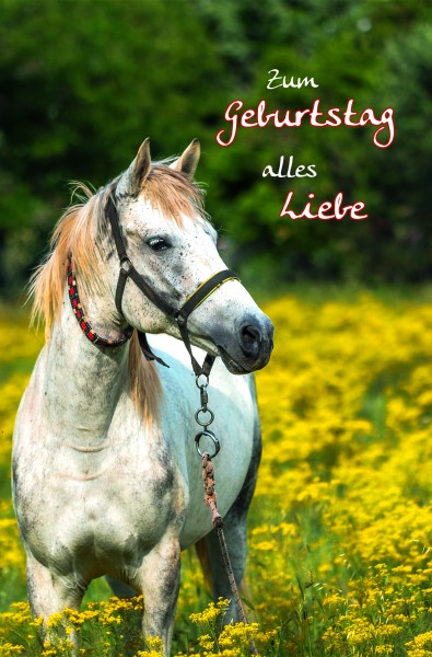Glückwunschkarte Grußkarte tierische Geburtstagsgrüße Tier 11,5x17,5 cm