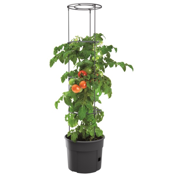 HRB Blumentopf Rankhilfe 1,53 m hoch, Pflanztopf Tomatentopf Rankgitter