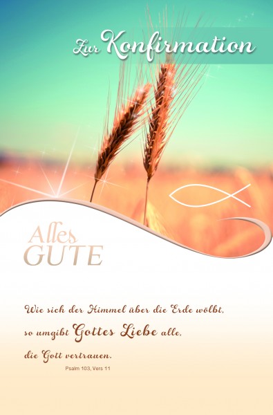 Glückwunschkarten Konfirmationskarten Grußkarten Karten Konfirmation,11,5 x 17,5