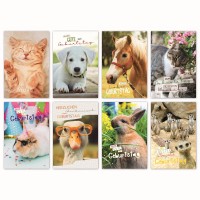 Glückwunschkarte Grußkarte tierische Geburtstagsgrüße Tier 11,5x17,5 cm Glückwunschkarte Grußkarte tierische Geburtstagsgrüße Tier 11,5x17,5 cm